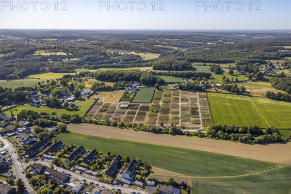 Aerial view, tree plots, tree nursery Wittener Straße 206, Ostholt, Hiddinghausen, Sprockhövel, Ruhr area, North Rhine-Westphalia, Germany, tree nursery, DE, Ennepe-Ruhr-Kreis, Europe, shapes and colours, green trees, aerial view, aerial photography, aerial photography, plots, overview, bird's-eye view, growth, birds-eyes view, overview