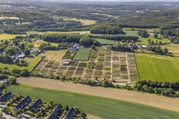 Aerial view, tree plots, tree nursery Wittener Straße 206, Ostholt, Hiddinghausen, Sprockhövel, Ruhr area, North Rhine-Westphalia, Germany, tree nursery, DE, Ennepe-Ruhr-Kreis, Europe, shapes and colours, green trees, aerial view, aerial photography, aerial photography, plots, overview, bird's-eye view, growth, birds-eyes view, overview