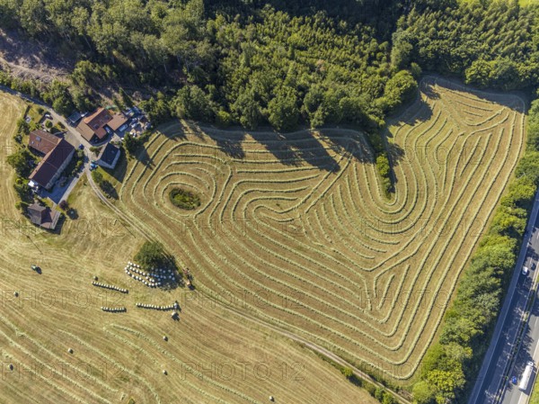 Aerial view, Agricultural area, Farm Auf der Niedergethe, Hiddinghauser Straße, Niedersprockhövel, Sprockhövel, Ruhr area, North Rhine-Westphalia, Germany, Farm, DE, Ennepe-Ruhr-Kreis, Europe, Shapes and colours, Agriculture, Agricultural fields, Agricultural business, Farming business, Aerial view, Aerial photography, Aerial photography, Overview, Bird's-eye view, Meadows and fields, birds-eyes view, overview, Harvest, Mowing, Hay harvest, Silage, Plastic silage