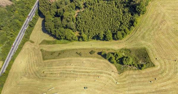 Aerial view, Agricultural area, Farm Auf der Niedergethe, Hiddinghauser Straße, Niedersprockhövel, Sprockhövel, Ruhr area, North Rhine-Westphalia, Germany, Farm, DE, Ennepe-Ruhr-Kreis, Europe, Shapes and colours, Agriculture, Agricultural fields, Agricultural business, Farming business, Aerial view, Aerial photography, Aerial photography, Overview, Bird's-eye view, Meadows and fields, birds-eyes view, overview, Harvest, Mowing, Hay harvest, Silage, Plastic silage