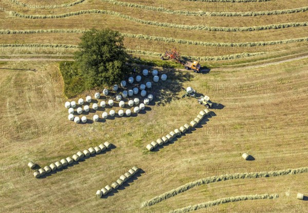 Aerial view, Agricultural area, Farm Auf der Niedergethe, Hiddinghauser Straße, Niedersprockhövel, Sprockhövel, Ruhr area, North Rhine-Westphalia, Germany, Farm, DE, Ennepe-Ruhr-Kreis, Europe, Shapes and colours, Green trees, Agriculture, Agricultural fields, Agricultural business, Farming business, Aerial view, Aerial photography, Aerial photography, Overview, Bird's-eye view, Meadows and fields, birds-eyes view, overview, Harvest, Mowing, Hay harvest, Silage, Plastic silage