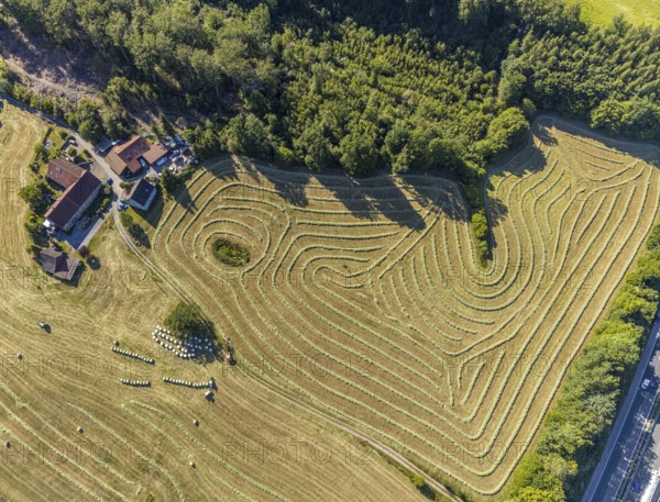 Aerial view, Agricultural area, Farm Auf der Niedergethe, Hiddinghauser Straße, Niedersprockhövel, Sprockhövel, Ruhr area, North Rhine-Westphalia, Germany, Farm, DE, Ennepe-Ruhr-Kreis, Europe, Shapes and colours, Agriculture, Agricultural fields, Agricultural business, Farming business, Aerial view, Aerial photography, Aerial photography, Overview, Bird's-eye view, Meadows and fields, birds-eyes view, overview, Harvest, Mowing, Hay harvest, Silage, Plastic silage