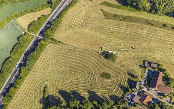 Aerial view, Agricultural area, Farm Auf der Niedergethe, Hiddinghauser Straße, Niedersprockhövel, Sprockhövel, Ruhr area, North Rhine-Westphalia, Germany, Farm, DE, Ennepe-Ruhr-Kreis, Europe, Shapes and colours, Agriculture, Agricultural fields, Agricultural business, Farming business, Aerial view, Aerial photography, Aerial photography, Overview, Bird's-eye view, Meadows and fields, birds-eyes view, overview, Harvest, Mowing, Hay harvest, Silage, Plastic silage