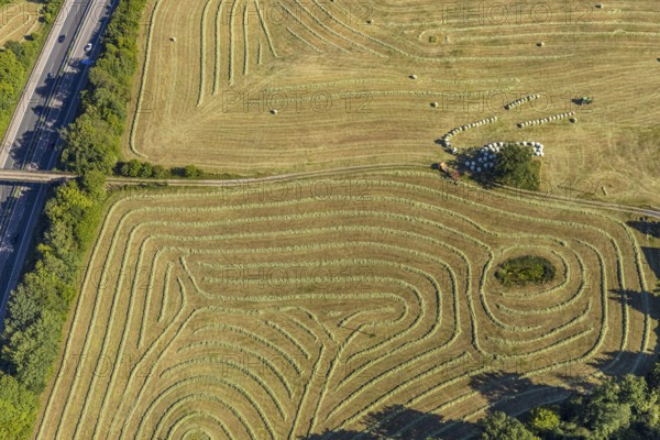 Aerial view, Agricultural area, Farm Auf der Niedergethe, Hiddinghauser Straße, Niedersprockhövel, Sprockhövel, Ruhr area, North Rhine-Westphalia, Germany, Farm, DE, Ennepe-Ruhr-Kreis, Europe, Shapes and colours, Agriculture, Agricultural fields, Agricultural business, Farming business, Aerial view, Aerial photography, Aerial photography, Overview, Bird's-eye view, Meadows and fields, birds-eyes view, overview, Harvest, Mowing, Hay harvest, Silage, Plastic silage