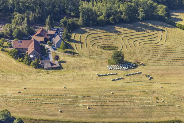 Aerial view, agricultural area, farm Auf der Niedergethe, Hiddinghauser Straße, Niedersprockhövel, Sprockhövel, Ruhr area, North Rhine-Westphalia, Germany, farm, DE, Ennepe-Ruhr-Kreis, Europe, agriculture, agricultural fields, agricultural business, agricultural enterprise, aerial photograph, aerial photography, aerial photography, overview, bird's-eye view, meadows and fields, birds-eyes view, overview, harvest, mowing, hay harvest, silage, plastic silage