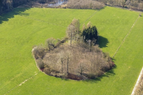 Aerial view, wooded area near Belecke-West industrial estate, Warstein, North Rhine-Westphalia, Germany