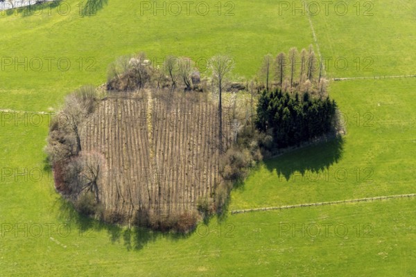 Aerial view, wooded area near Belecke-West industrial estate, Warstein, North Rhine-Westphalia, Germany