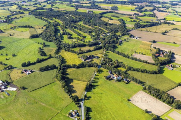 Aerial photo, golf course, Westfälischer Golf-Club Gütersloh, Varensell, Rietberg, OWL, Ostwestfalen-Lippe, East Westphalia, North Rhine-Westphalia, Germany, DE, Europe, golf, golf course, golf club, golf meadow, aerial photo, aerial photography, aerial photography, OWL book, OWL book, sport, overview, bird's-eye view, bird's-eye view, overview