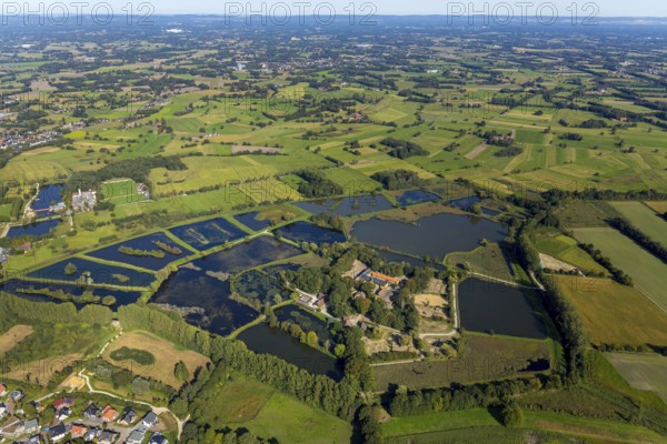 Aerial view, Rietberg estate, pond meadows, Rietberg fish ponds, Rietberg, OWL, East Westphalia-Lippe, East Westphalia, North Rhine-Westphalia, Germany, DE, Europe, river Ems, moat, aerial view, aerial photography, aerial photography, mosaic form, OWL book, OWL book, Rietberg Ems lowlands, Rietberg castle, castle road, overview, bird's-eye view, Weser Renaissance, meadows and fields, birds-eyes view, overview