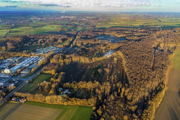 Aerial photo, Westerhaar industrial estate, TÜV NORD inspection centre Wickede Werl, forest damage, clear-cutting and spruce felling, Werl, Sauerland, North Rhine-Westphalia, Germany