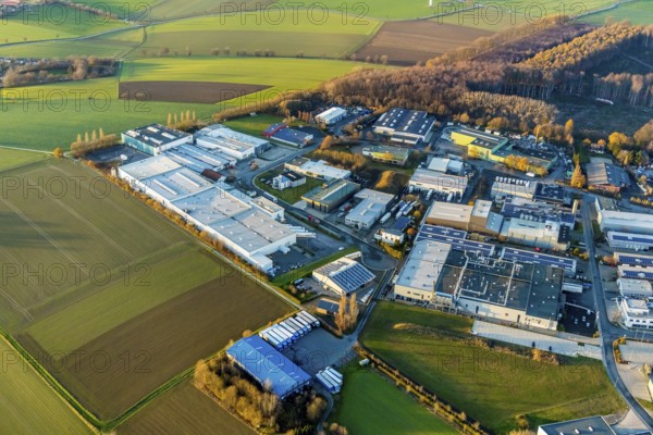 Aerial photo, Westerhaar industrial estate, forest damage, clear-cutting and spruce felling, Werl, Sauerland, North Rhine-Westphalia, Germany