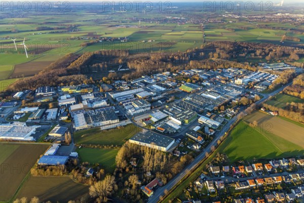 Aerial view, Westerhaar industrial estate, forest slash and burn, clear cutting and spruce felling, Werl, Sauerland, North Rhine-Westphalia, Germany