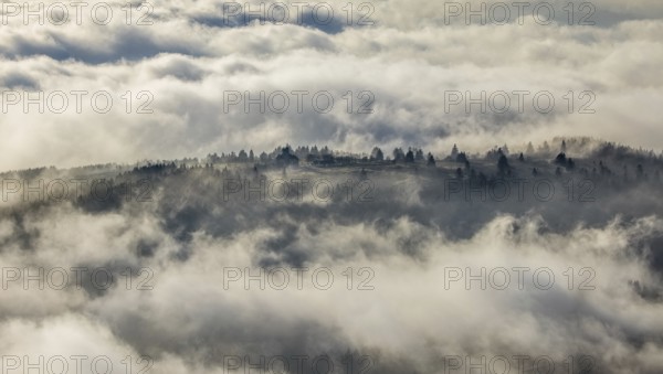 Aerial view, clouds over the Kahler Asten, Astenturm and hotel-restaurant, second highest mountain in North Rhine-Westphalia, Kahler Asten, 842 m high mountain with heathland as well as observation tower and restaurant on the summit, Winterberg, Sauerland, North Rhine-Westphalia, Germany