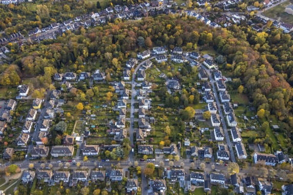 Aerial view, new development area Wohnbogen Am Bühl, Saarn - West, Mülheim an der Ruhr, Ruhr area, North Rhine-Westphalia, Germany, DE, Europe, property tax, autumn colours, real estate, aerial view, aerial photography, aerial photography, overview, bird's-eye view, forest edge, residential area, living and living, residential area, residential buildings, residential quality, residential quarter, housing estate, birds-eyes view, overview