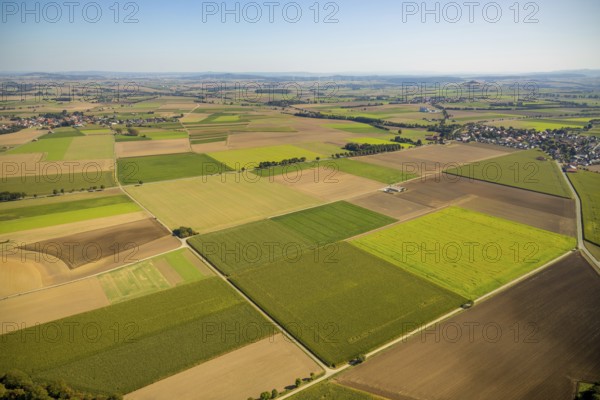 Aerial view, meadows and fields, Hohenwepel, Warburg, OWL, Ostwestfalen-Lippe, East Westphalia, North Rhine-Westphalia, Germany