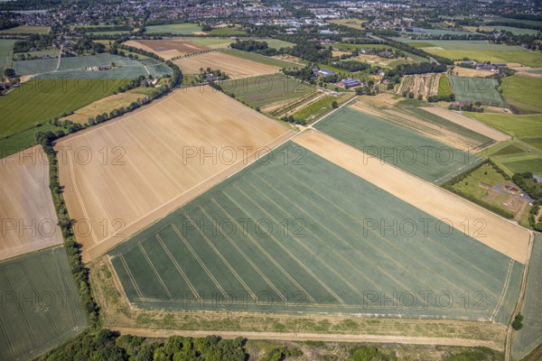 Aerial view, fields Plankendickskendel, Neukirchen-Vluyn, Lower Rhine, North Rhine-Westphalia, Germany, DE, Europe, aerial view, aerial photography, aerial photography, overview, bird's-eye view, meadows and fields, birds-eyes view, overview
