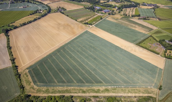 Aerial view, fields Plankendickskendel, Neukirchen-Vluyn, Lower Rhine, North Rhine-Westphalia, Germany, DE, Europe, aerial view, aerial photography, aerial photography, overview, bird's-eye view, meadows and fields, birds-eyes view, overview
