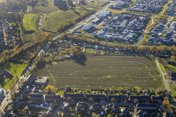 Aerial view, Neukircher Feld, field green area, opposite police station, Niederrheinallee, residential area Dicksche Heide, Neukirchen, Neukirchen-Vluyn, Ruhr area, North Rhine-Westphalia, Germany, field, DE, Europe, community garden, property tax, green area, real estate, Jahnstraße, KGV, allotment garden, allotment garden site, allotment garden association, allotment garden association Unsere Scholle, allotment gardener association, aerial view, aerial photography, aerial photography, allotment garden, state power, overview, bird's eye view, housing estate, housing and living, residential area, residential buildings, housing quality, residential neighbourhood, housing estate, birds-eyes view, overview