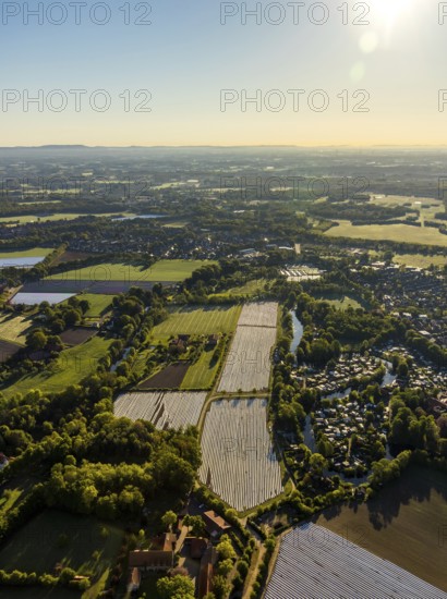 Aerial view, asparagus fields, asparagus cultivation, Südmühlenweg, Kamillusweg, Münster, Münsterland, North Rhine-Westphalia, Germany, DE, harvest, Europe, aerial view, aerial photography, aerial photography, overview, bird's-eye view, overview