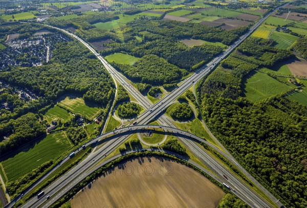 Aerial view, motorway junction Münster-Süd, motorway A1, motorway A43, Münster, Münsterland, North Rhine-Westphalia, Germany, motorway, motorway bridge, motorway junction, greening, DE, Europe, shapes and colours, freight traffic, landscape forms, aerial view, aerial photography, aerial photography, road traffic, overview, traffic, traffic volume, bird's-eye view, forest area, meadows and fields, birds-eyes view, overview