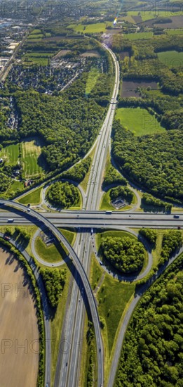 Aerial view, motorway junction Münster-Süd, motorway A1, motorway A43, Münster, Münsterland, North Rhine-Westphalia, Germany, motorway, motorway bridge, motorway junction, greening, DE, Europe, shapes and colours, freight traffic, landscape forms, aerial view, aerial photography, aerial photography, road traffic, overview, traffic, traffic volume, bird's-eye view, forest area, meadows and fields, birds-eyes view, overview