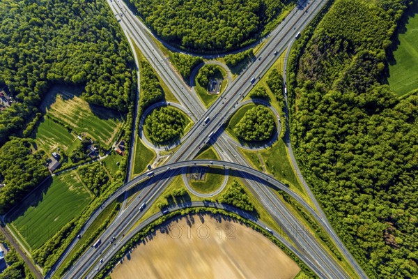 Aerial view, motorway junction Münster-Süd, motorway A1, motorway A43, Münster, Münsterland, North Rhine-Westphalia, Germany, motorway, motorway bridge, motorway junction, greening, DE, Europe, shapes and colours, freight traffic, landscape forms, aerial view, aerial photography, aerial photography, road traffic, overview, traffic, traffic volume, bird's-eye view, forest area, meadows and fields, birds-eyes view, overview