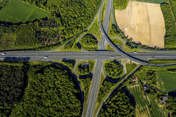 Aerial view, motorway junction Münster-Süd, motorway A1, motorway A43, Münster, Münsterland, North Rhine-Westphalia, Germany, motorway, motorway bridge, motorway junction, greening, DE, Europe, shapes and colours, freight traffic, landscape forms, aerial view, aerial photography, aerial photography, road traffic, overview, traffic, traffic volume, bird's-eye view, forest area, meadows and fields, birds-eyes view, overview