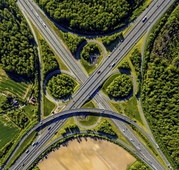 Aerial view, motorway junction Münster-Süd, motorway A1, motorway A43, Münster, Münsterland, North Rhine-Westphalia, Germany, motorway, motorway bridge, motorway junction, greening, DE, Europe, shapes and colours, freight traffic, landscape forms, aerial view, aerial photography, aerial photography, road traffic, overview, traffic, traffic volume, bird's-eye view, forest area, meadows and fields, birds-eyes view, overview