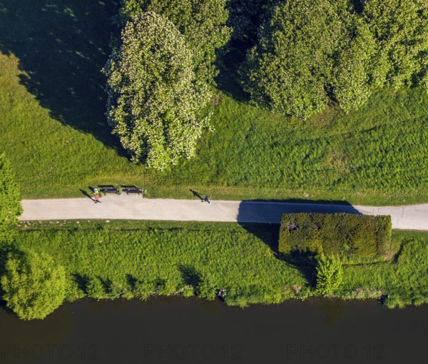 Aerial view, Less Wild Than Others, artwork in a meadow at Aasee, Münster, Münsterland, North Rhine-Westphalia, Germany, exhibitions, blocks of evergreen tree yew, DE, Europe, culture, art, aerial view, aerial photography, aerial photography, Mühlenhof-Freilichtmuseum Münster, nature to nature, Rosemarie Trockel, sculptures, overview, bird's-eye view, meadows and fields, birds-eyes view, overview