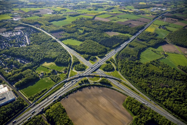 Aerial view, motorway junction Münster-Süd, motorway A1, motorway A43, Münster, Münsterland, North Rhine-Westphalia, Germany, motorway, motorway bridge, motorway junction, greening, DE, Europe, shapes and colours, freight traffic, landscape forms, aerial view, aerial photography, aerial photography, road traffic, overview, traffic, traffic volume, bird's-eye view, forest area, meadows and fields, birds-eyes view, overview