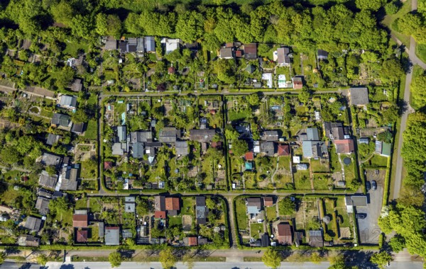 Aerial view, allotment garden site Gut Grün, WienburgPark, Münster, Münsterland, North Rhine-Westphalia, Germany, DE, Europe, community garden, allotment garden, allotment garden site, allotment garden association, aerial view, aerial photography, aerial photography, allotment garden, overview, bird's-eye view, overview