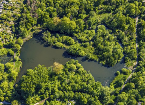 Aerial view, Wienburgpark, Schilfsee, Münster, Münsterland, North Rhine-Westphalia, Germany, DE, Europe, aerial view, aerial photography, aerial photography, park, lake, overview, bird's-eye view, overview
