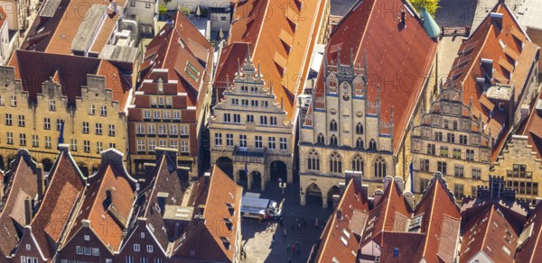 Aerial view, Prinzipalmarkt, historic town hall, Münster, Münsterland, North Rhine-Westphalia, Germany, old town, authority, DE, Europe, gabled houses, main market, aerial view, aerial photography, aerial photography, town hall, sight, city administration, street, overview, administrative area, bird's eye view, birds-eyes view, historical, overview, red roofs