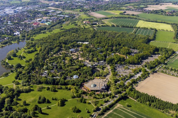 Aerial view, Allwetterzoo Münster, LWL-Museum für Naturkunde mit Planetarium, Münster, Münsterland, North Rhine-Westphalia, Germany, Aasee, DE, Europe, river Münstersche Aa, culture, art, aerial view, aerial photography, aerial photography, museum, Münstersche Aa, natural history museum, car parks, lake, reservoir, zoo, animal park, animal world, overview, bird's-eye view, forest area, zoo, Zoo Münster, birds-eyes view, cultural use, overview
