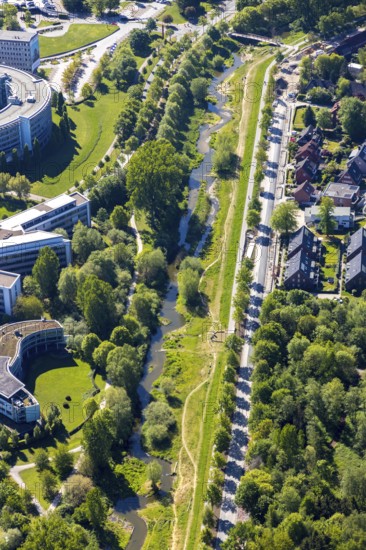 Aerial view, river Münstersche Aa, Kanalstraße, Am Wienburgpark, row of trees, Münster, Münsterland, North Rhine-Westphalia, Germany, DE, Europe, river, aerial view, aerial photography, aerial photography, overview, bird's-eye view, overview