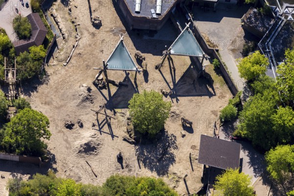 Aerial view, all-weather zoo Münster, elephant house, elephants, open-air grounds, Münster, Münsterland, North Rhine-Westphalia, Germany, DE, Europe, aerial photography, aerial photography, zoo, animal park, animal world, overview, bird's-eye view, zoo, Zoo Münster, birds-eyes view, overview