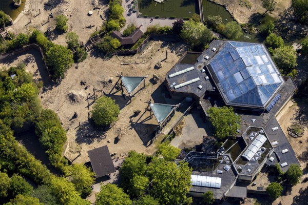 Aerial view, all-weather zoo Münster, elephant house, Münster, Münsterland, North Rhine-Westphalia, Germany, DE, Europe, aerial view, aerial photography, aerial photography, zoo, animal park, animal world, overview, bird's eye view, zoo, Zoo Münster, birds-eyes view, overview