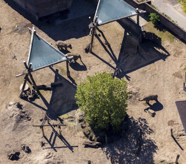 Aerial view, all-weather zoo Münster, elephant house, elephants, open-air grounds, Münster, Münsterland, North Rhine-Westphalia, Germany, DE, Europe, aerial photography, aerial photography, zoo, animal park, animal world, overview, bird's-eye view, zoo, Zoo Münster, birds-eyes view, overview