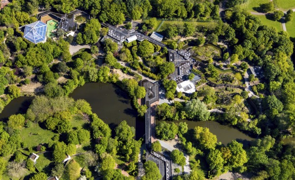 Aerial photo, Allwetterzoo Münster, Gievenbach, Münster, Münsterland, North Rhine-Westphalia, Germany, DE, Europe, culture, art, aerial photography, aerial photography, aerial photography, museum, natural history museum, zoo, animal park, animal world, overview, bird's-eye view, zoo, Zoo Münster, birds-eyes view, cultural use, overview