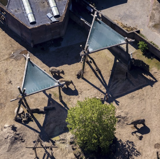 Aerial view, all-weather zoo Münster, elephant house, elephants, open-air grounds, Münster, Münsterland, North Rhine-Westphalia, Germany, DE, Europe, aerial photography, aerial photography, zoo, animal park, animal world, overview, bird's-eye view, zoo, Zoo Münster, birds-eyes view, overview
