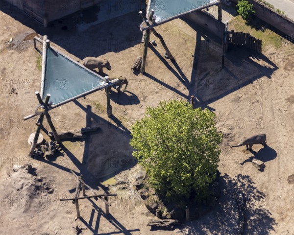 Aerial view, all-weather zoo Münster, elephant house, elephants, open-air grounds, Münster, Münsterland, North Rhine-Westphalia, Germany, DE, Europe, aerial photography, aerial photography, zoo, animal park, animal world, overview, bird's-eye view, zoo, Zoo Münster, birds-eyes view, overview