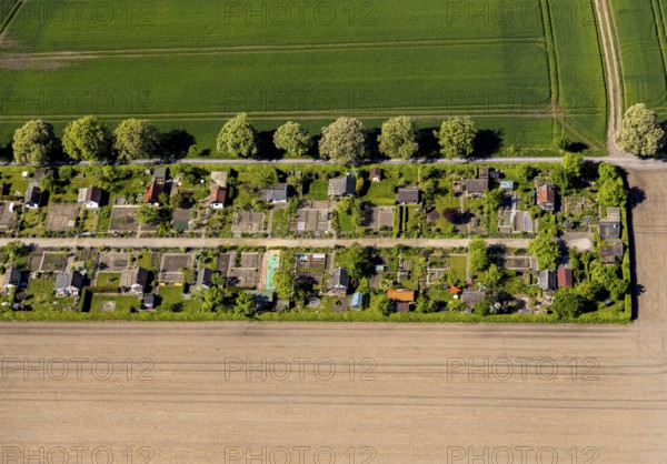 Aerial view, allotment garden site Uhlenhorst, Münster, Münsterland, North Rhine-Westphalia, Germany, DE, Europe, community garden, allotment garden, allotment garden site, allotment garden association, aerial view, aerial photography, aerial photography, allotment garden, Sentruper Straße, overview, bird's-eye view, overview
