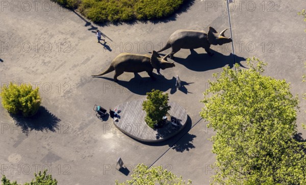 Aerial view, Allwetterzoo Münster, LWL-Museum für Naturkunde mit Planetarium, Triceratops, three-horned face, dinosaur in front of the museum, open-air area, Münster, Münsterland, North Rhine-Westphalia, Germany, DE, Europe, culture, art, aerial photography, aerial photography, aerial photography, museum, natural history museum, zoo, animal park, animal world, overview, bird's-eye view, zoo, Zoo Münster, birds-eyes view, cultural use, overview