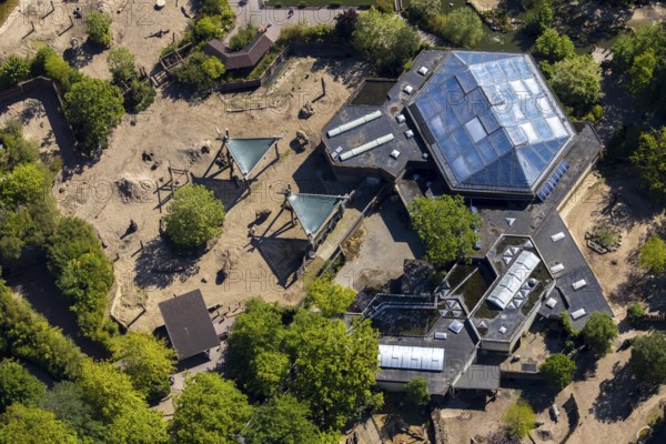 Aerial view, all-weather zoo Münster, elephant house, Münster, Münsterland, North Rhine-Westphalia, Germany, DE, Europe, aerial view, aerial photography, aerial photography, zoo, animal park, animal world, overview, bird's eye view, zoo, Zoo Münster, birds-eyes view, overview