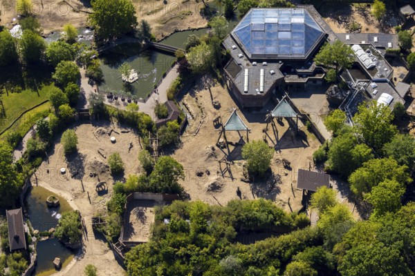Aerial view, all-weather zoo Münster, elephant house, Münster, Münsterland, North Rhine-Westphalia, Germany, DE, Europe, aerial view, aerial photography, aerial photography, zoo, animal park, animal world, overview, bird's eye view, zoo, Zoo Münster, birds-eyes view, overview