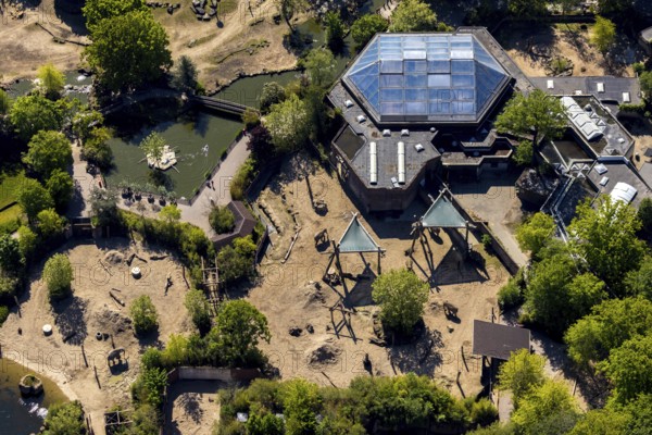 Aerial view, all-weather zoo Münster, elephant house, Münster, Münsterland, North Rhine-Westphalia, Germany, DE, Europe, aerial view, aerial photography, aerial photography, zoo, animal park, animal world, overview, bird's eye view, zoo, Zoo Münster, birds-eyes view, overview