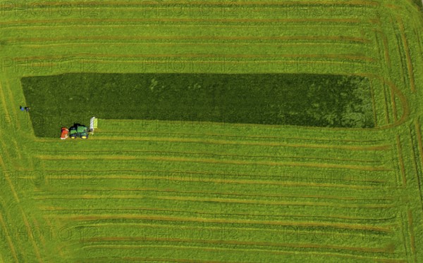 Aerial view, tractor mowing meadow, Münster, Münsterland, North Rhine-Westphalia, Germany, DE, Europe, shapes and colours, aerial view, aerial photography, aerial photography, tractor, overview, bird's eye view, birds-eyes view, overview