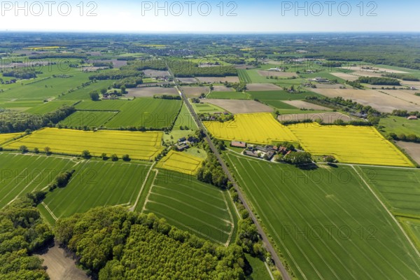 Aerial view, LWW Schweinemast KG Landwirtschaftsbetrieb, Hof Große Wöstmann Christmas trees, Münster, Münsterland, North Rhine-Westphalia, Germany, farm, DE, Europe, distant view, Hemmer Straße, agriculture, agricultural fields, agricultural business, farm, Ludger Lütke Wöstmann, aerial view, aerial photography, aerial photography, rapeseed field, overview, bird's eye view, woodland, birds-eyes view, overview