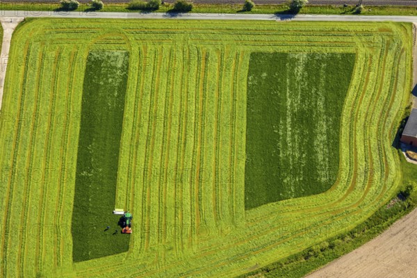 Aerial view, tractor mowing meadow, Münster, Münsterland, North Rhine-Westphalia, Germany, DE, Europe, shapes and colours, aerial view, aerial photography, aerial photography, tractor, overview, bird's eye view, birds-eyes view, overview