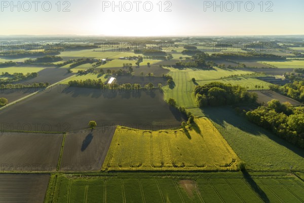 Aerial photo, Münster-Telgte airfield, Telgte, Warendorf district, Münsterland, North Rhine-Westphalia, Germany, DE, Europe, distant view, airport, FunFlight flight school, runway, aerial photo, aerial photography, aerial photography, runway, overview, bird's-eye view, woodland, meadows and fields, birds-eyes view, overview